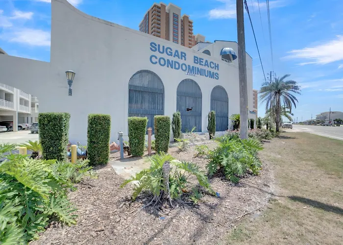 Apartment Sugar 344 By Collection